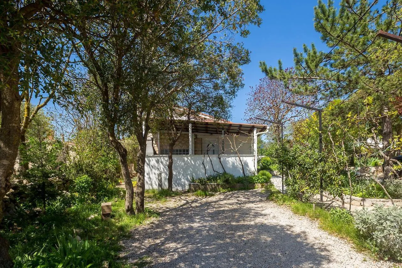 Holiday Home Michael Pinezici